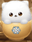 pic for cute kitty